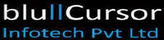 BluCursor Infotech Pvt. Ltd. BluCursor Infotech Pvt. Ltd.